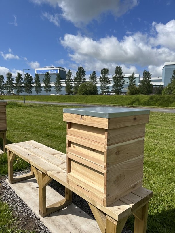 Bee hives