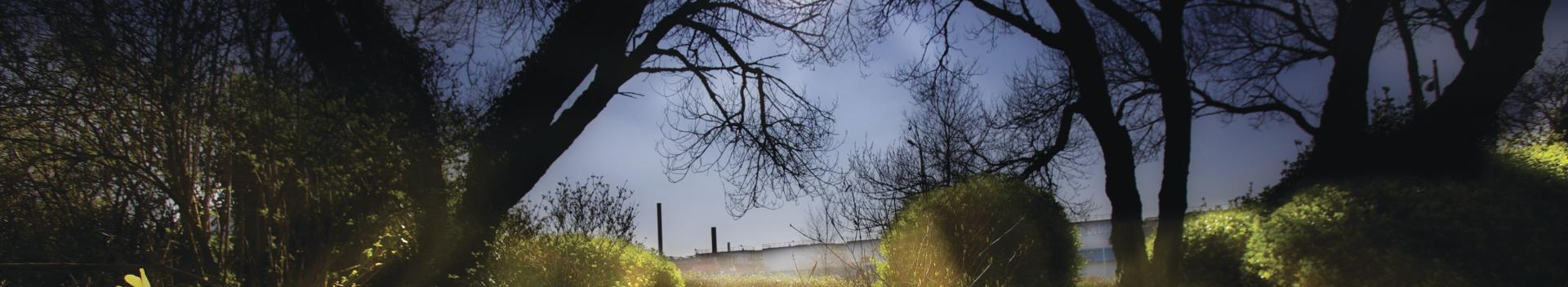 Port Talbot steelworks