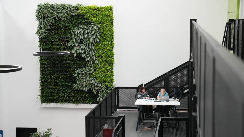 Green Wall Building Systems UK